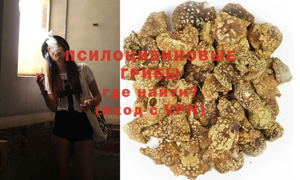 спиды Осташков