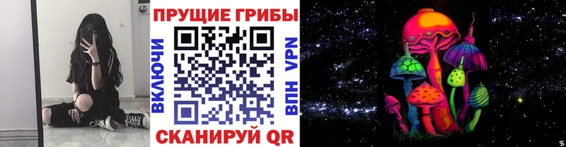 Псилоцибиновые грибы Magic Shrooms  Тюмень 