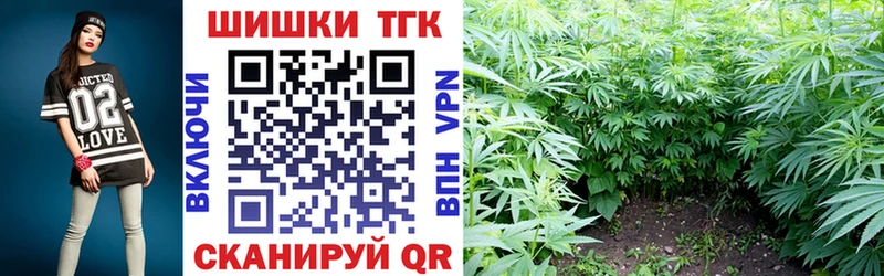 купить наркотик  Тюмень  Бошки марихуана индика 
